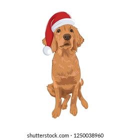 Golden Retriever cute puppy wearing Santa hat sitting. Yellow dog isolated on white background. Purebred Santa dog for your design.