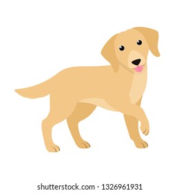 Golden Retriever. Cute purebred dog. Isolated vector illustration