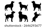 Golden retriever in different poses. Dog breed silhouette.