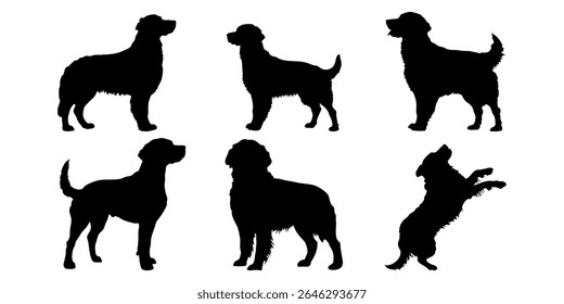 Golden retriever in different poses. Dog breed silhouette.
