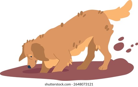 Golden retriever digging ground hole