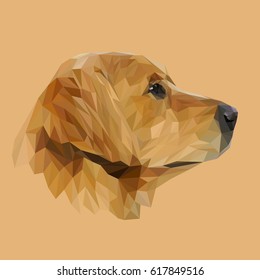 Golden Retriever Dog animal low poly design. Triangle vector illustration.