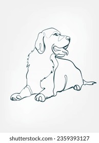 Golden Retriever dog breed animal vector line art one line sketch outline