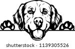 Golden Retriever dog breed face head isolated pet animal domestic pet canine puppy purebred pedigree hound portrait peeking paws smiling smile happy art artwork illustration design