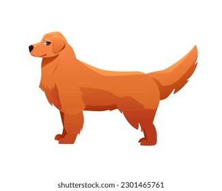 Golden Retriever Dog Breed. Vector Illustration in Cartoon Style. Cute Dog Character.