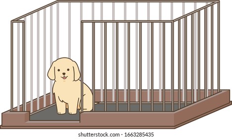 golden retriever - in dog cage2