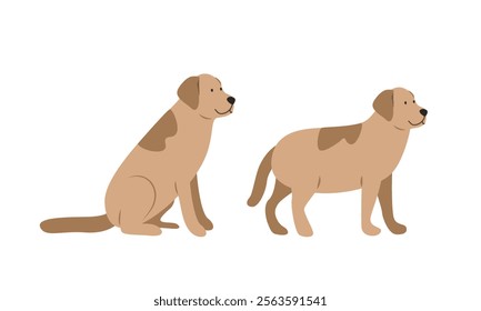 Golden Retriever dog cartoon clipart. Dog vector illustration in flat style. Hand-drawn animal concept