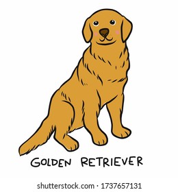 Golden Retriever dog cartoon vector illustration