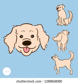 golden retriever dog charming doggy adorable pup lovely puppy cute sweet pet character front and back and side set funny cartoon vector illustration