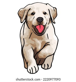 Golden Retriever Dog Colored Drawing