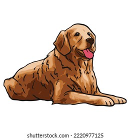 Golden Retriever Dog Colored Drawing