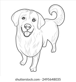 Golden Retriever Dog Coloring Book or page for Kids. Retriever Dog Vector illustration