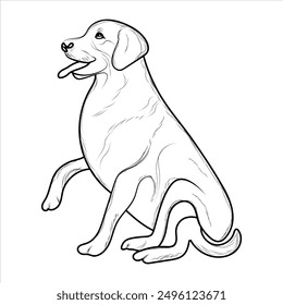 Golden Retriever Dog Coloring Book or page for Kids. Retriever Dog Vector illustration