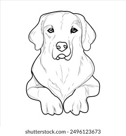 Golden Retriever Dog Coloring Book or page for Kids. Retriever Dog Vector illustration