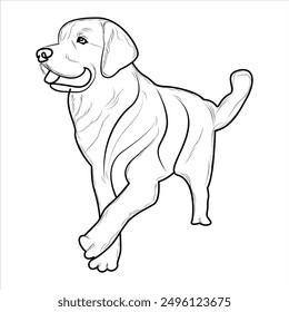 Golden Retriever Dog Coloring Book or page for Kids. Retriever Dog Vector illustration