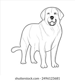 Golden Retriever Dog Coloring Book or page for Kids. Retriever Dog Vector illustration