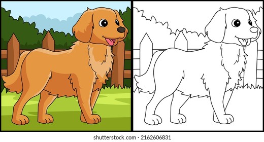 Golden Retriever Dog Coloring Page Illustration
