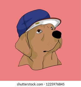 Golden Retriever dog with cool cap