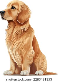 Golden Retriever Hund Digital Art Cartoon Zeichnung. Konzept von Tier und Tier. Portrait-Vektorgrafik