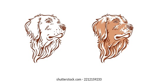 Golden retriever dog head illustration side view pet vector drawing 