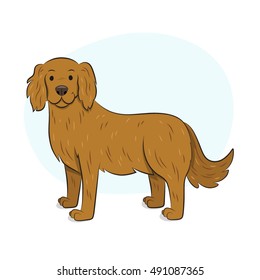 Golden Retriever Dog Illustration