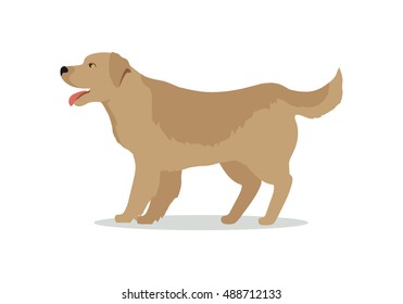 Golden retriever dog isolated on white. Labrador Retriever. Large, strongly built breed with a dense, water-repellant wavy coat. Blonde, yellow, or gold puppy. Series of puppies icon symbols. Vector