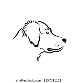 Golden Retriever dog - isolated vector illustration