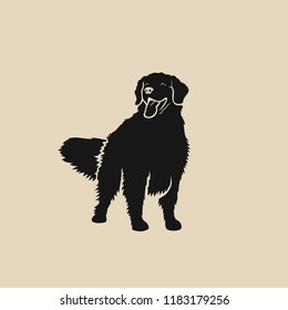 Golden Retriever dog - isolated vector illustration