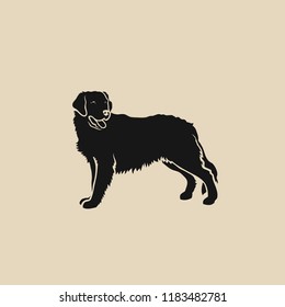 Golden Retriever dog - isolated vector illustration