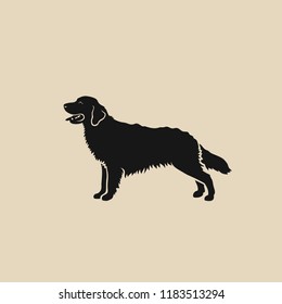 Golden Retriever dog - isolated vector illustration