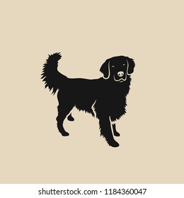 Golden Retriever dog - isolated vector illustration