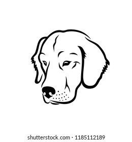 Golden Retriever dog - isolated vector illustration