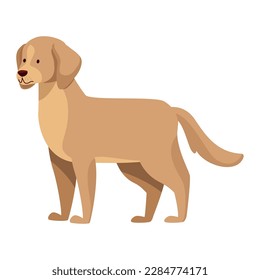 golden retriever dog mascot character