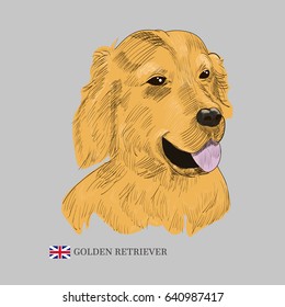 Golden Retriever dog portrait. Hand drawn labrador sketch and a flag of Great Britain.