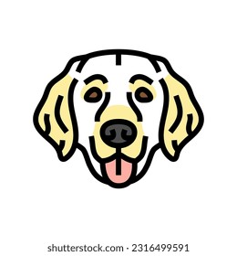golden retriever dog puppy pet color icon vector. golden retriever dog puppy pet sign. isolated symbol illustration