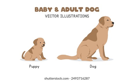 Golden retriever dog and puppy vector illustrations. Adult and baby dog cartoon clipart in flat style. Pet animals, farm animals concept