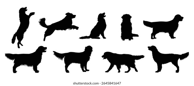 golden retriever dog silhouette for any design purpose