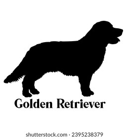 Golden Retriever Dog silhouette dog breeds logo dog monogram logo dog face vector