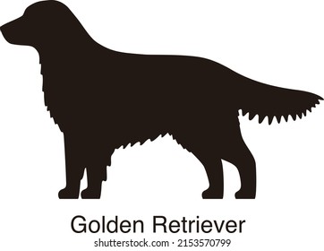 golden retriever dog silhouette, side view, vector illustration