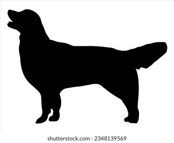 Golden retriever dog silhouette vector art