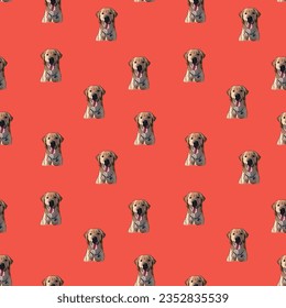 Golden retriever dog smiling face. Golden Retriever Peeking dog. Happy Face Puppy, Pet detailed artwork, Labrador, Lab logo. Seamless pattern with dogs, holiday texture. Dog Packaging wrapping paper.
