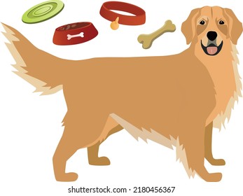 Golden retriever and 
dog supplies. Vector Set