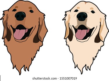 Golden retriever dog in two different colors head portrait cartoon beautiful dog