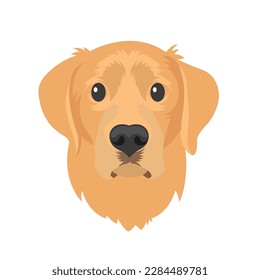 Golden retriever dog vector Illustration