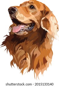 Golden Retriever Dog Vector,Pet Vector