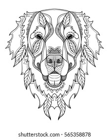 Golden retriever dog zentangle, doodle stylized head, hand drawn, pattern. Zen art. Ornate vector. Black and white illustration on white background. 