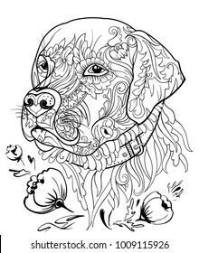 Golden retriever dog in zentangle style, vector freehand illustration, pencil drawing technique. Zen art. Black and white pattern.  Adults and children anti-stress coloring book. Print for T-shirts