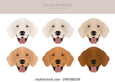 Perros recuperadores de oro con diferentes poses y colores de abrigo. Goldies adultos y juego de cachorros.  Ilustración del vector