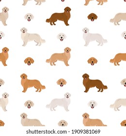 Golden retriever dogs in different poses and coat colors. Seamless pattern. Adult goldies and puppy set.  Vector illustration