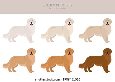 Golden Retrieve Hunde in verschiedenen Posen und Farben. Erwachsene Golfschläger und Welpenset.  Vektorgrafik